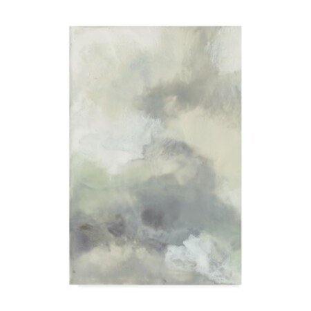 Trademark Fine Art Jennifer Goldberger 'Cloud Impressions I' Canvas Art, 12x19 WAG07106-C1219GG